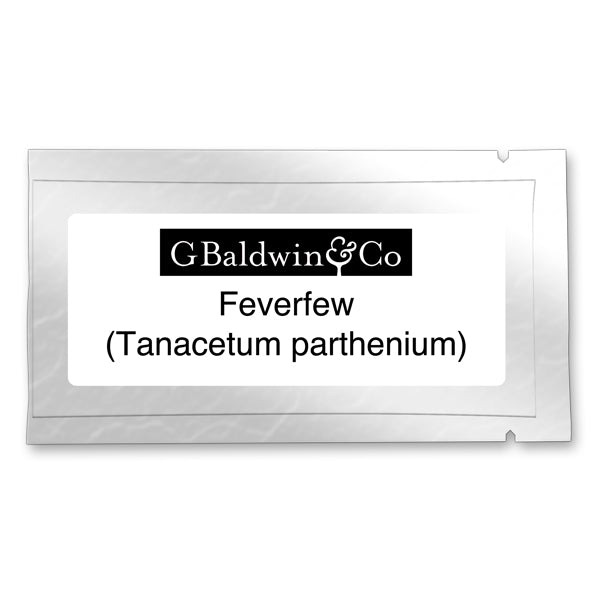 Feverfew Growing Seeds