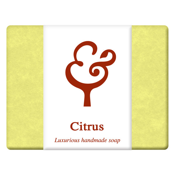 Baldwins Citrus Soap 100g