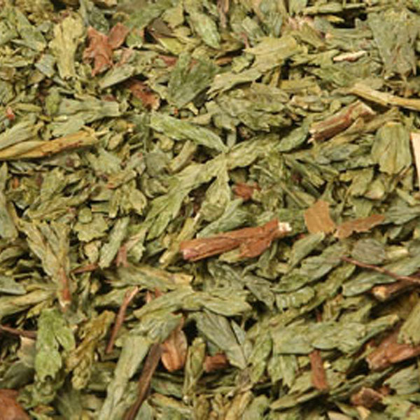 Baldwins Thuja Herb  ( Thuja Occidentalis )