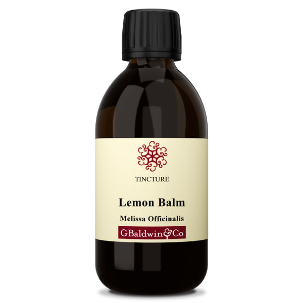 Baldwins Balm ( Melissa Officinalis ) Herbal Tincture
