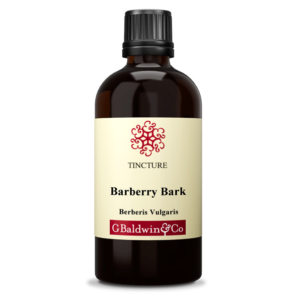 Baldwins Barberry ( Berberis Vulgaris ) Herbal Tincture