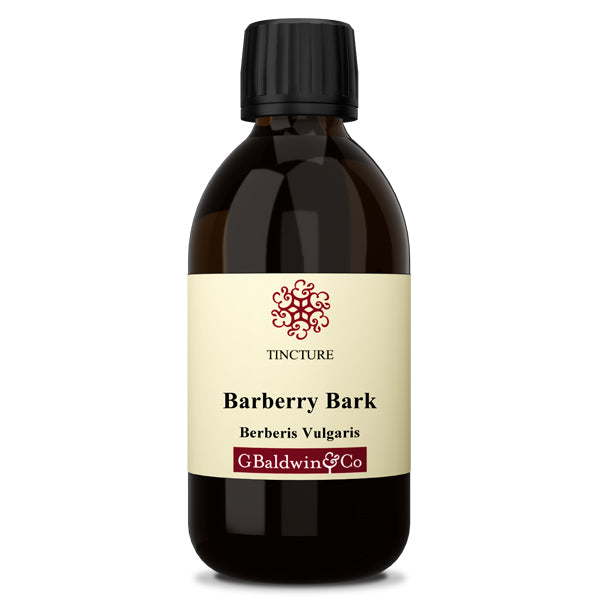 Baldwins Barberry ( Berberis Vulgaris ) Herbal Tincture