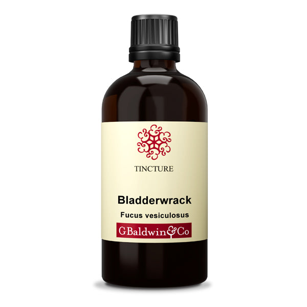 Baldwins Bladderwrack ( Fucus Vesiculosus ) Herbal Tincture