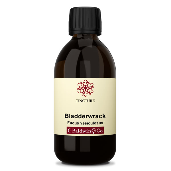 Baldwins Bladderwrack ( Fucus Vesiculosus ) Herbal Tincture