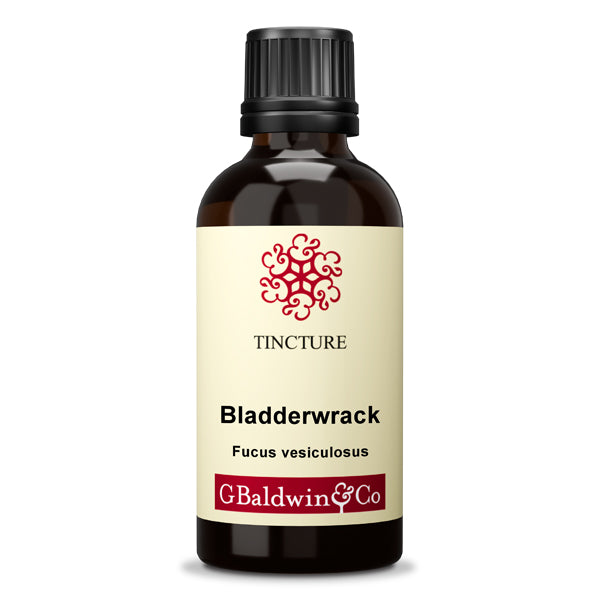 Baldwins Bladderwrack ( Fucus Vesiculosus ) Herbal Tincture