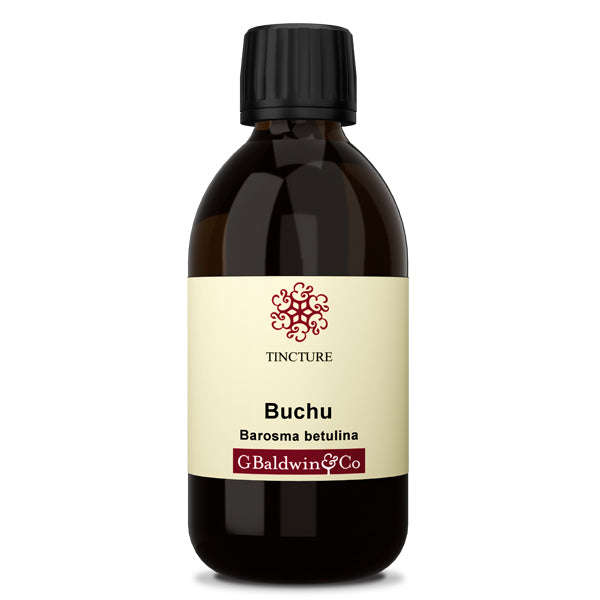 Baldwins Buchu (barosma Betulina) Herbal Tincture
