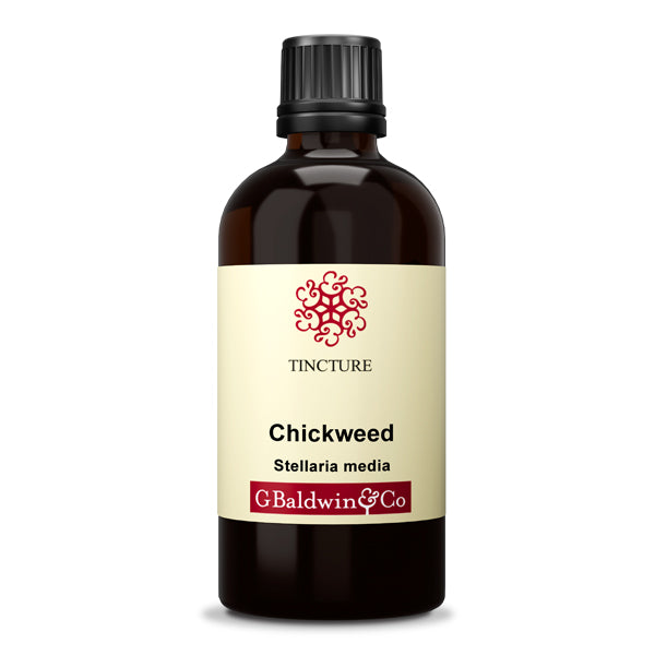 Baldwins Chickweed ( Stellaria Media ) Herbal Tincture