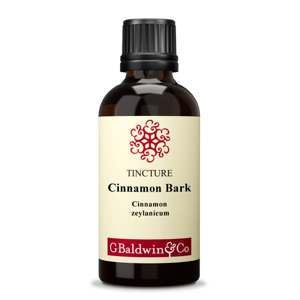 Baldwins Cinnamon Bark (Cinnamon zeylanicum) Herbal Tincture