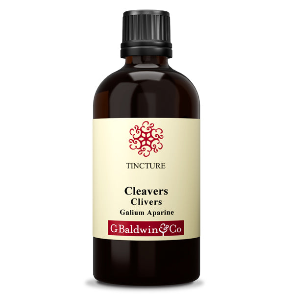 Baldwins Cleavers ( Galium Aparine ) Herbal Tincture