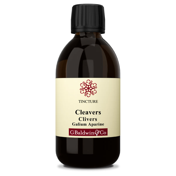 Baldwins Cleavers ( Galium Aparine ) Herbal Tincture