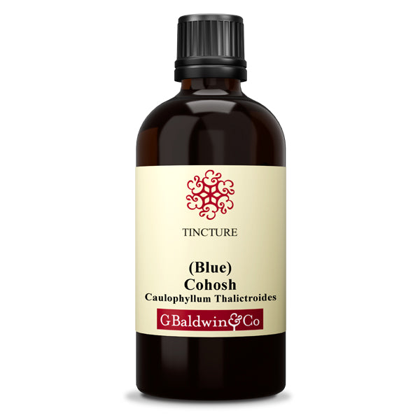 Baldwins Cohosh Blue ( Caulophyllum Thalictroides ) Herbal Tincture