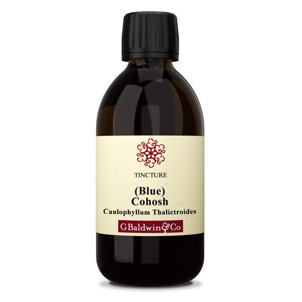 Baldwins Cohosh Blue ( Caulophyllum Thalictroides ) Herbal Tincture