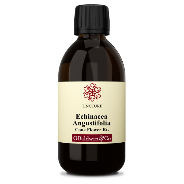 Baldwins Echinacea (angustifolia) Herbal Tincture