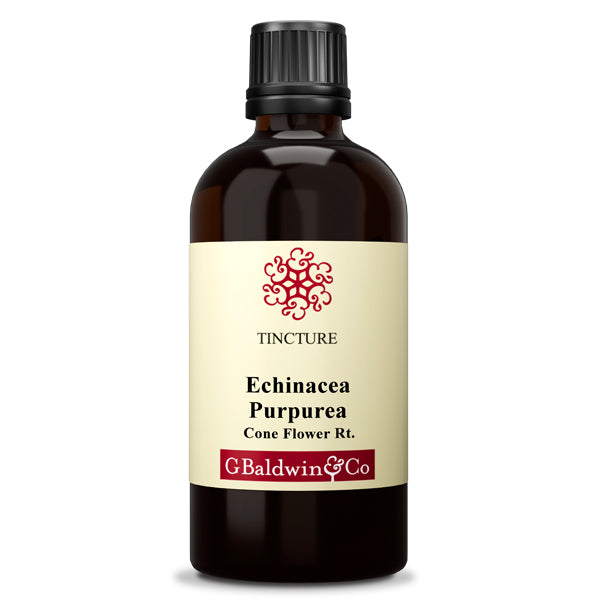 Baldwins Echinacea (purpurea) Herbal Tincture