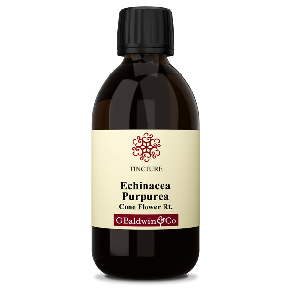Baldwins Echinacea (purpurea) Herbal Tincture