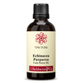 Baldwins Echinacea (purpurea) Herbal Tincture