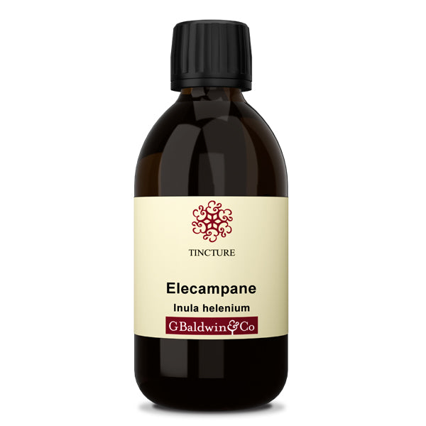 Baldwins Elecampane ( Inula Helenium ) Herbal Tincture