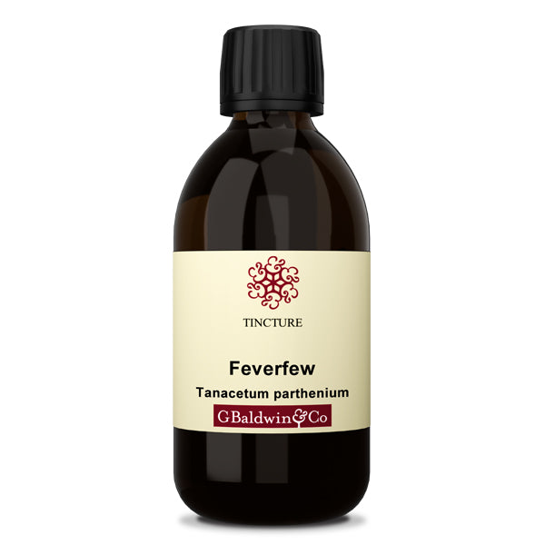 Baldwins Feverfew ( Tanacetum Parthenium ) Herbal Tincture