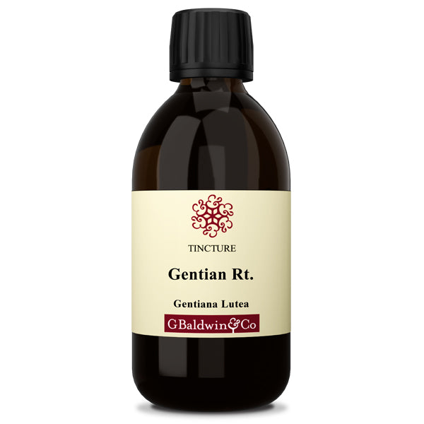 Baldwins Gentian ( Gentiana Lutea ) Herbal Tincture
