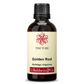 Baldwins Golden Rod ( Solidago Virgaurea ) Herbal Tincture