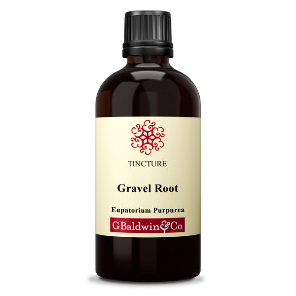 Baldwins Gravel Root ( Eupatorium Purpurea ) Herbal Tincture