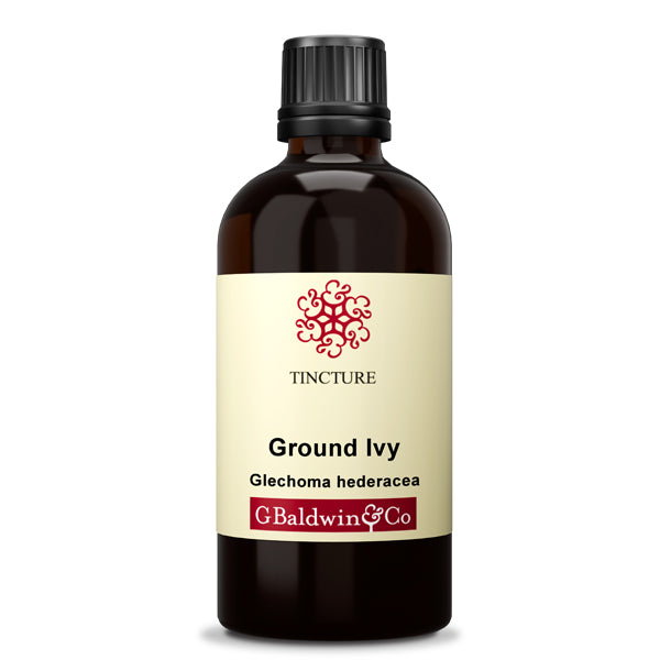 Baldwins Ground Ivy ( Glechoma Hederacea ) Herbal Tincture