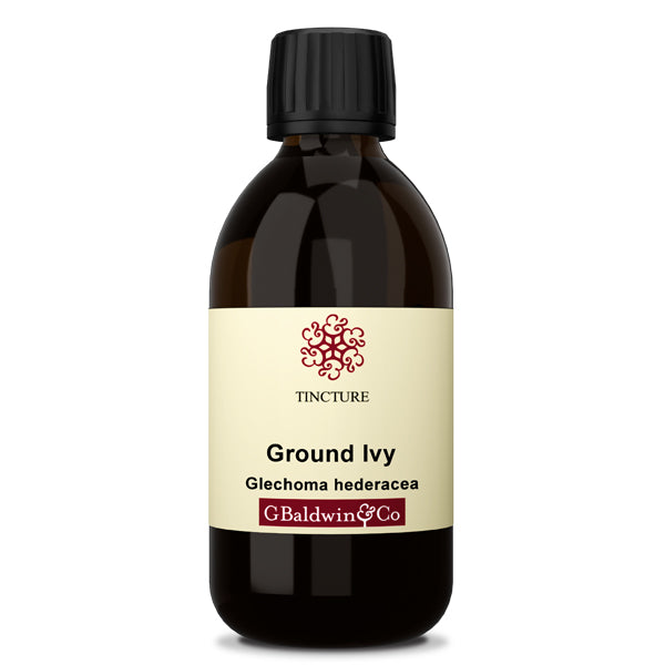 Baldwins Ground Ivy ( Glechoma Hederacea ) Herbal Tincture