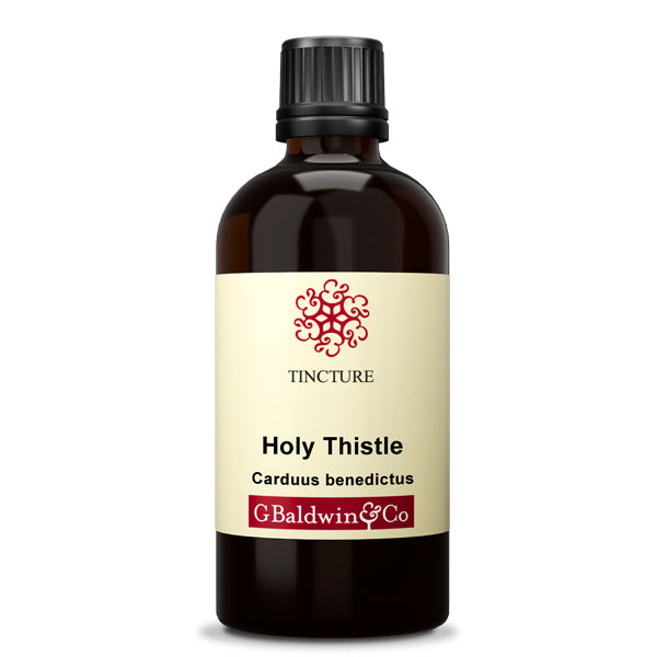 Baldwins Holy Thistle ( Carduus Benedictus ) Herbal Tincture