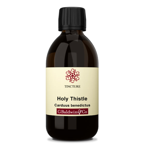 Baldwins Holy Thistle ( Carduus Benedictus ) Herbal Tincture