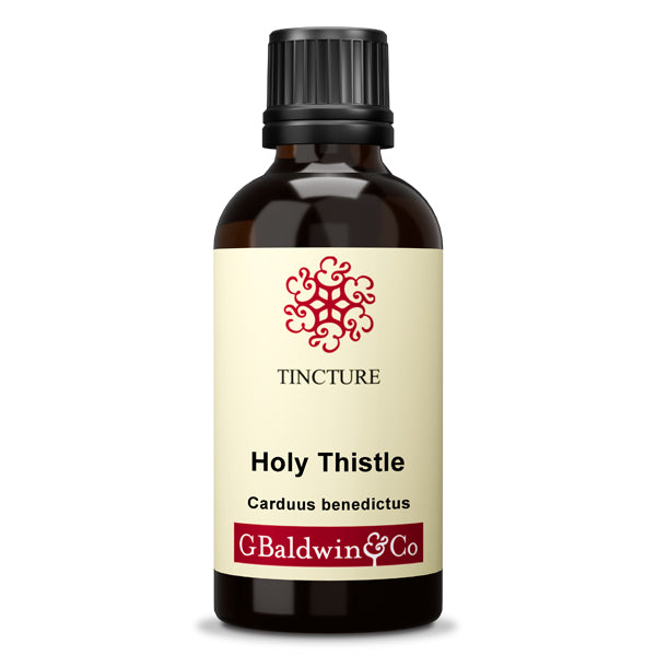Baldwins Holy Thistle ( Carduus Benedictus ) Herbal Tincture