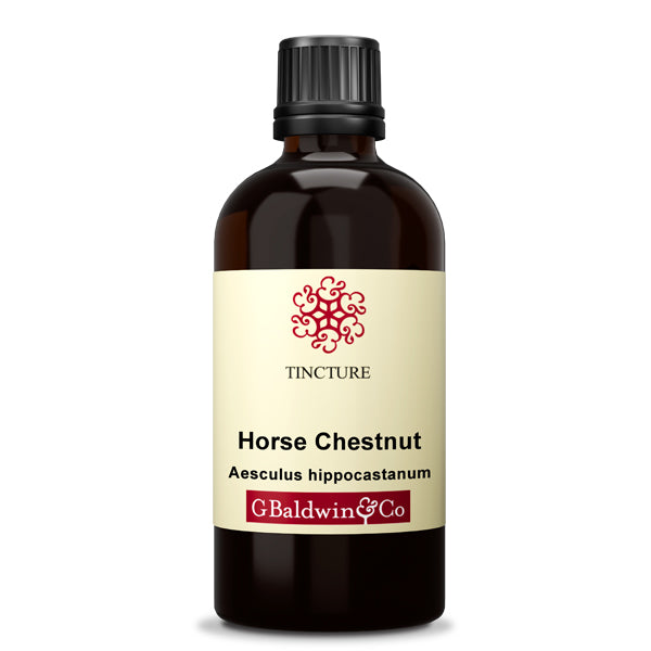 Baldwins Horse Chestnut  ( Aesculus Hippocastanum ) Herbal Tincture