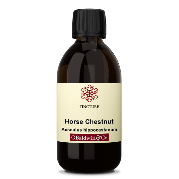 Baldwins Horse Chestnut  ( Aesculus Hippocastanum ) Herbal Tincture