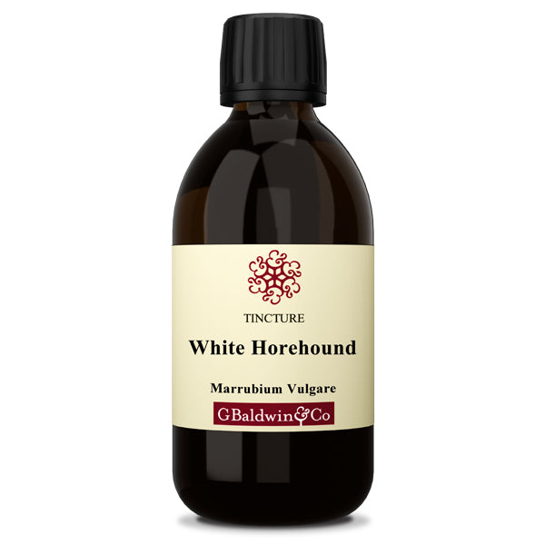 Baldwins Horehound (white) ( Marrubium Vulgare ) Herbal Tincture