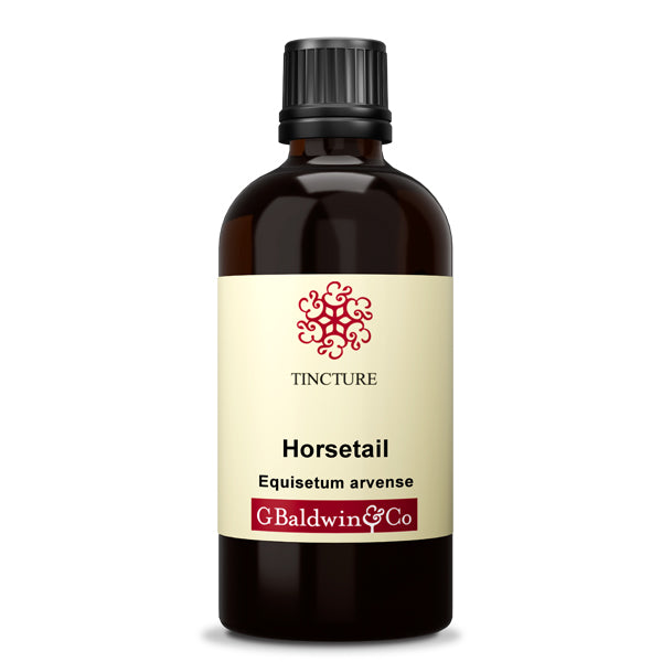Baldwins Horsetail ( Equisetum Arvense ) Herbal Tincture