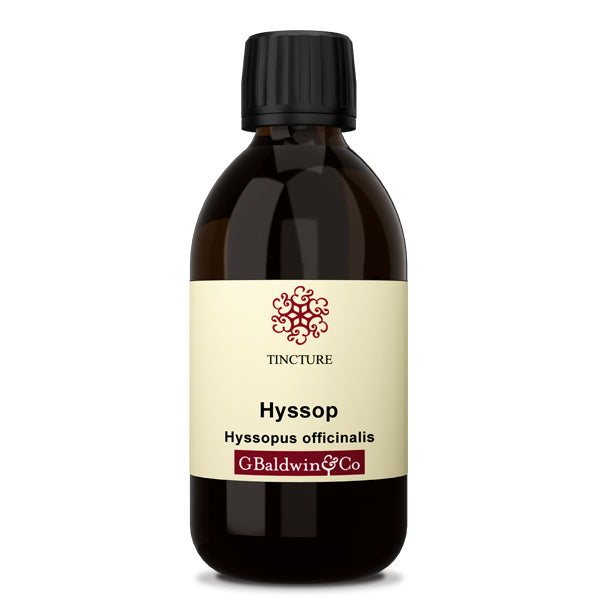 Baldwins Hyssop ( Hyssopus officinalis ) Herbal Tincture