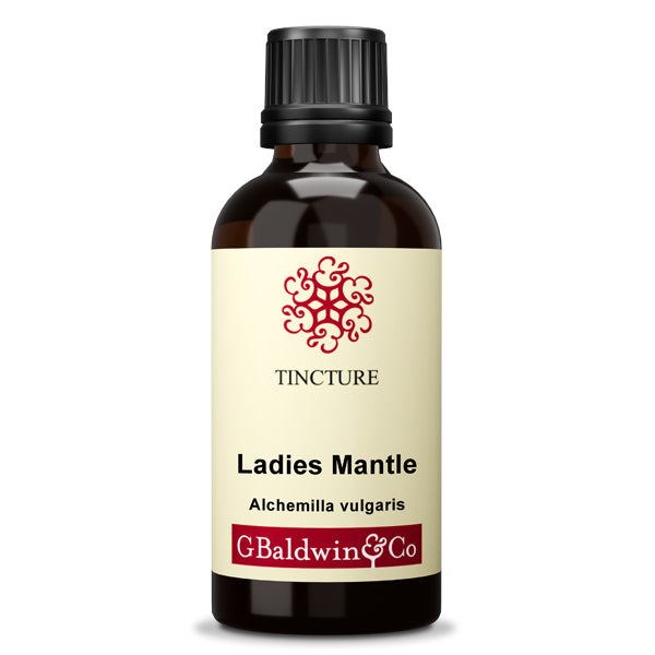 Baldwins Ladies Mantle ( Alchemilla Vulgaris ) Herbal Tincture