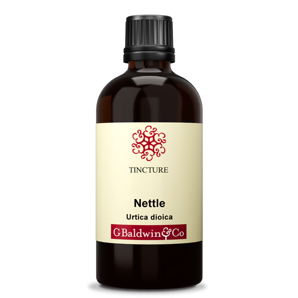 Baldwins Nettle ( Urtica dioica ) Herbal Tincture