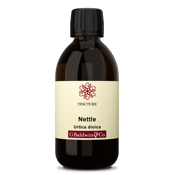 Baldwins Nettle ( Urtica dioica ) Herbal Tincture