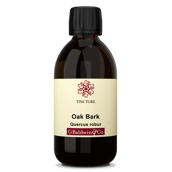 Baldwins Oak Bark ( Quercus Robur ) Herbal Tincture