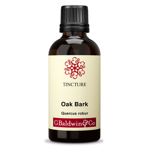 Baldwins Oak Bark ( Quercus Robur ) Herbal Tincture
