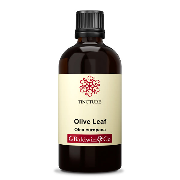 Baldwins Olive Leaf Tincture