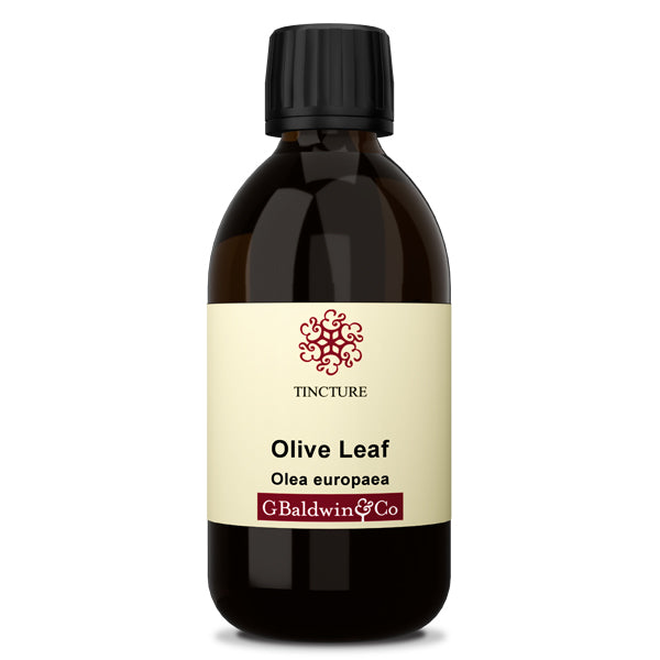 Baldwins Olive Leaf Tincture