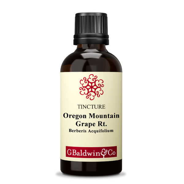 Baldwins Oregon Mountain Grape ( Berberis Acquifolium ) Herbal Tincture