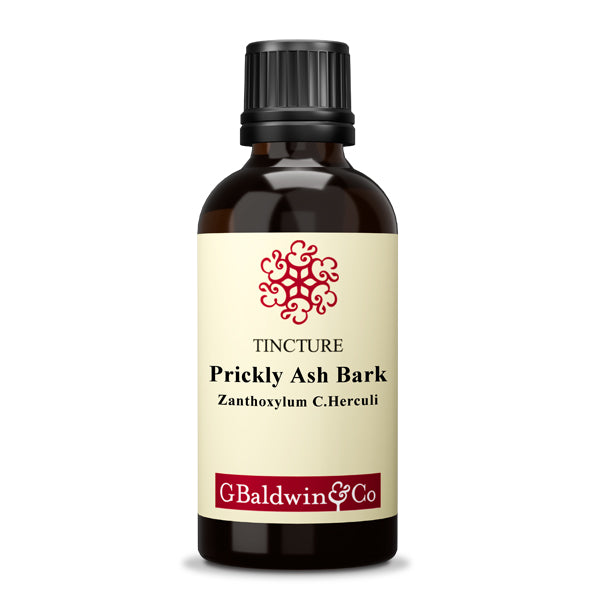 Baldwins Prickly Ash Bark  ( Zanthoxylum Americanum ) Herbal Tincture
