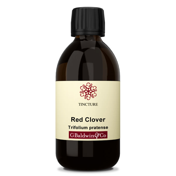 Baldwins Red Clover ( Trifolium Pratense ) Herbal Tincture