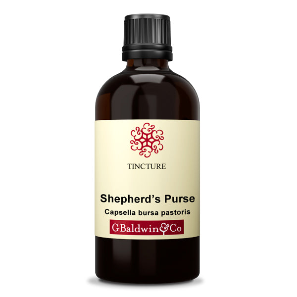 Baldwins Shepherds Purse ( Capsella Bursa Pastoris ) Herbal Tincture