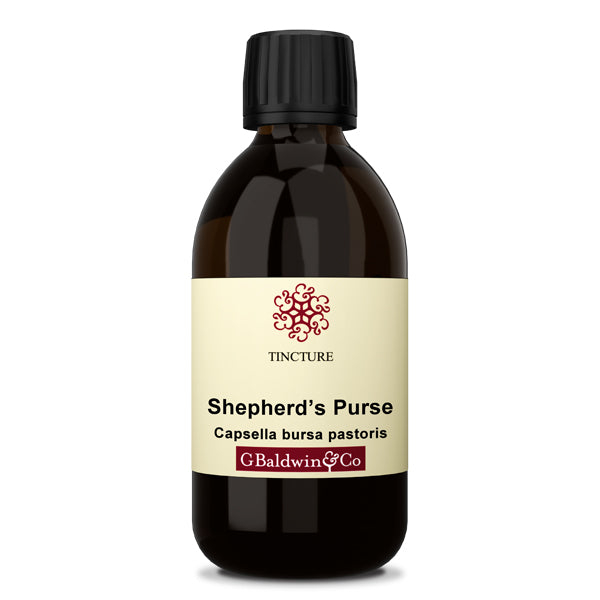 Baldwins Shepherds Purse ( Capsella Bursa Pastoris ) Herbal Tincture