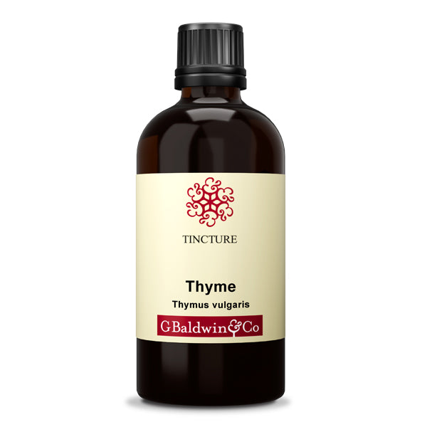 Baldwins Thyme ( Thymus Vulgaris ) Herbal Tincture
