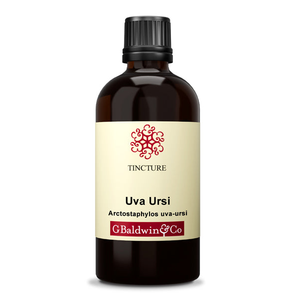 Baldwins Uva Ursi ( Arctostaphylos Uva-ursi ) Herbal Tincture