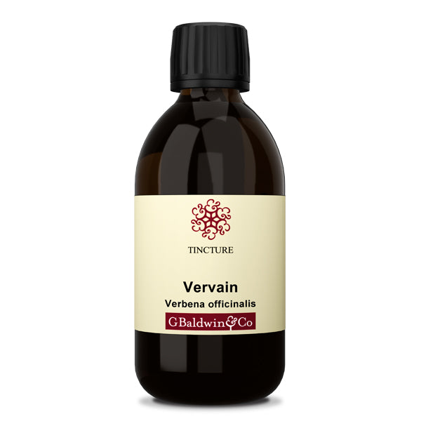 Baldwins Vervain ( Verbena Officinalis ) Herbal Tincture